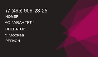 4959092325